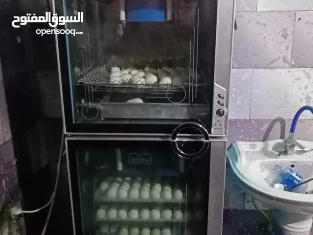 فقاسه 480بيضة