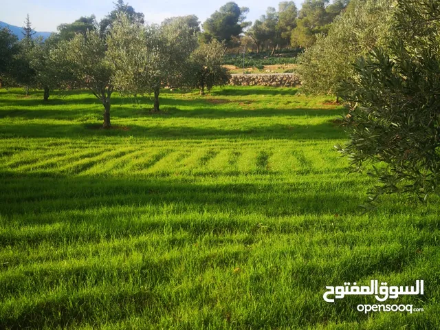 Mixed Use Land for Sale in Jerash Al-Kittah