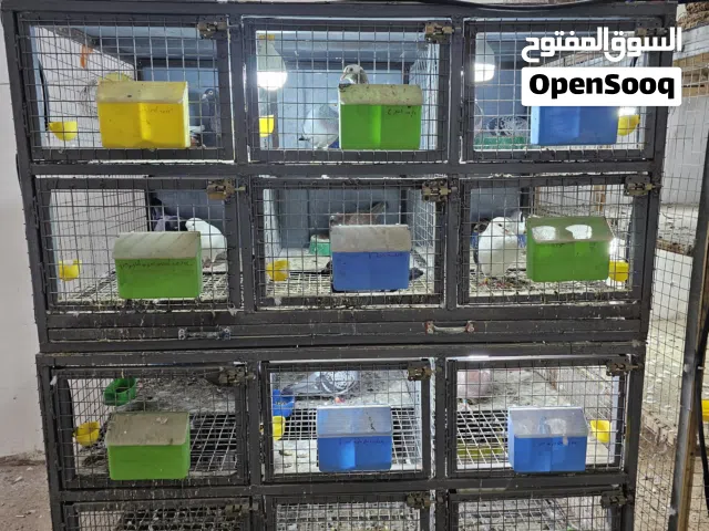 خانات حمام حديد