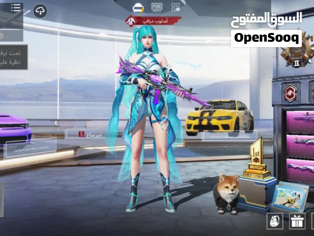 Pubg Accounts and Characters for Sale in Irbid