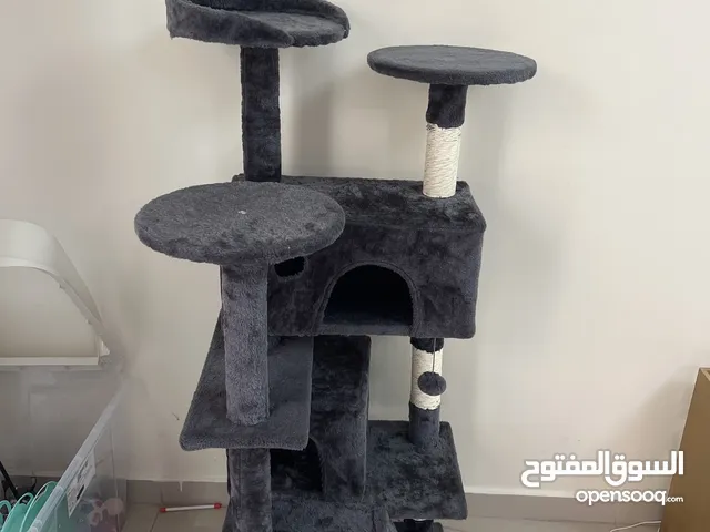 Kitten cat tree