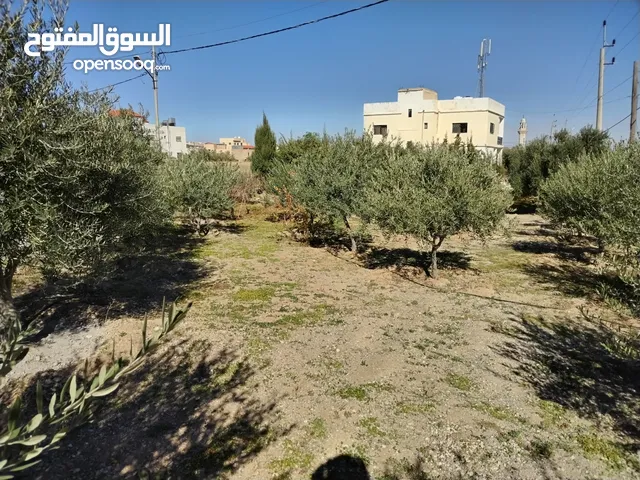 Mixed Use Land for Sale in Al Karak Other
