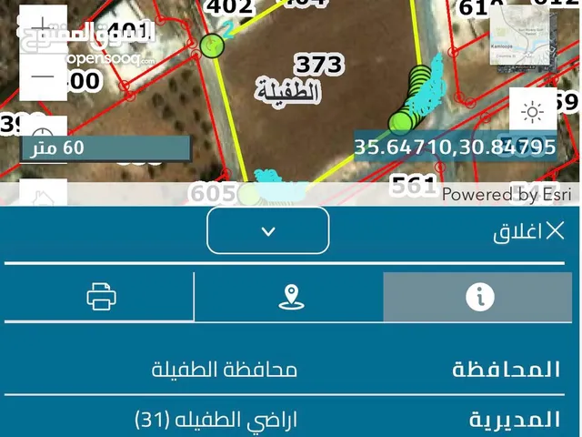 Residential Land for Sale in Tafila Al-Ayes