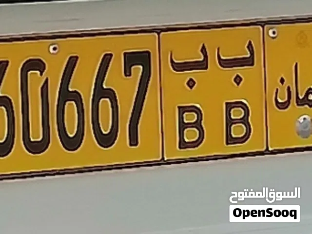 رقم مميز 60667 ب