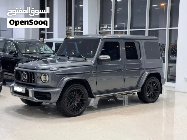 Mercedes Benz G-500 / 2019 (Grey)