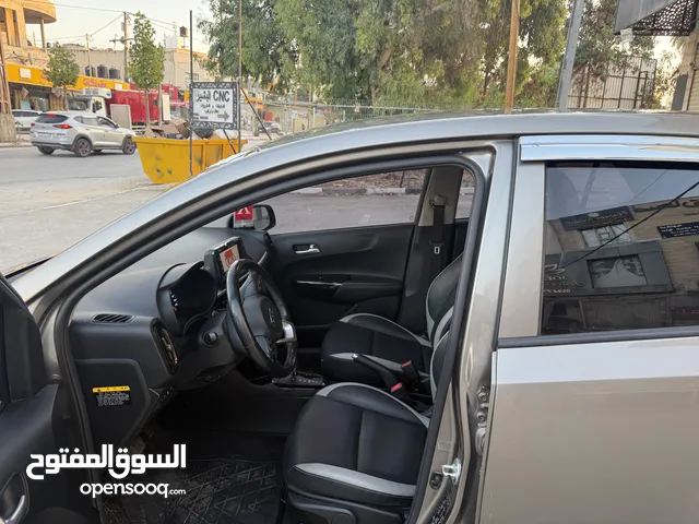 كايا بكانتو 2019