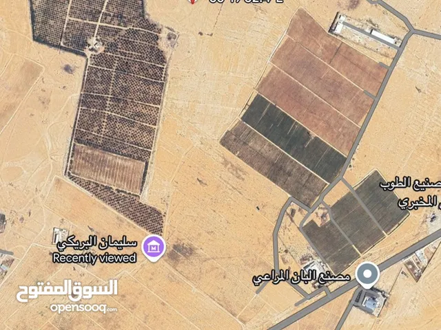 Farm Land for Sale in Mafraq Other
