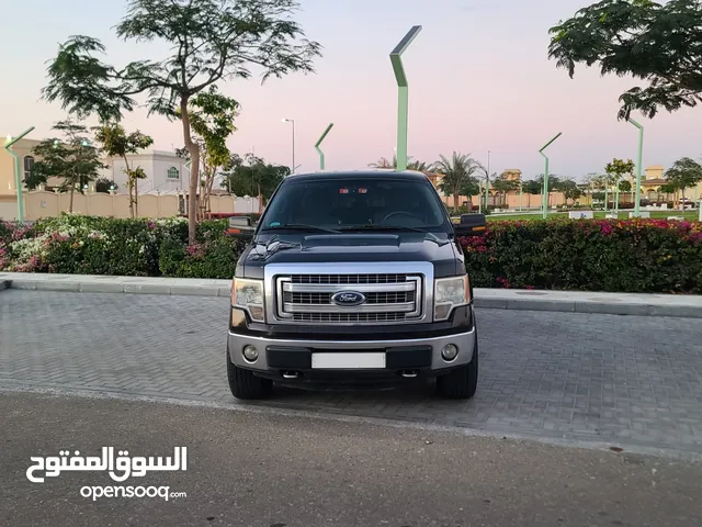 FORD F150   * MODEL: 2014