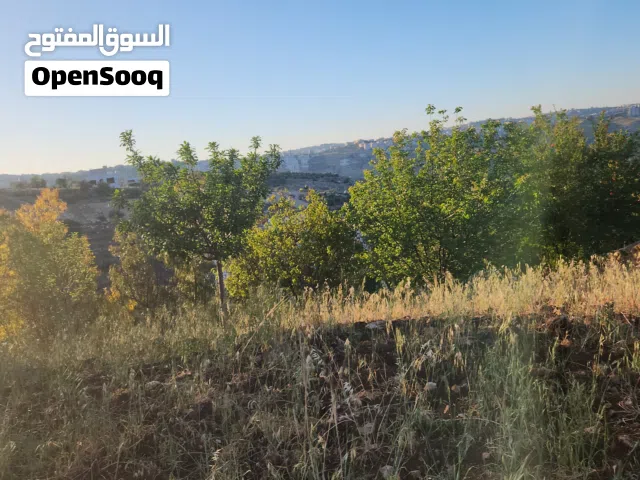 Residential Land for Sale in Amman Al Bassah