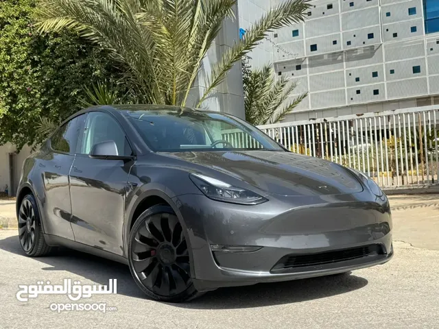 Tesla Y 2022 Dual motor برفورمانس