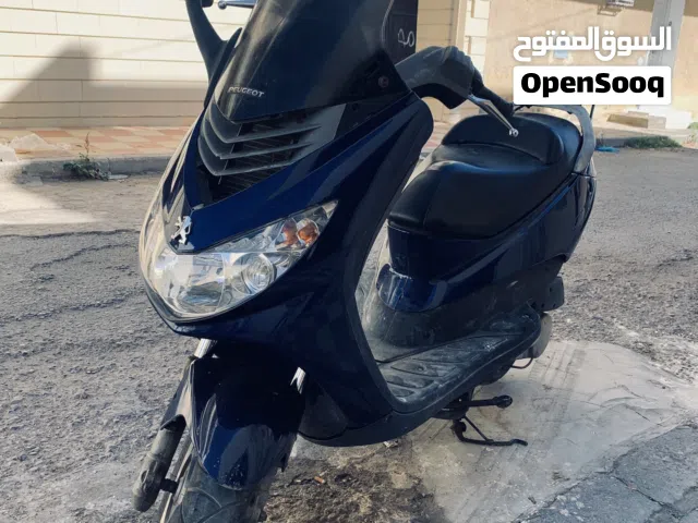 2010 Piaggio Other