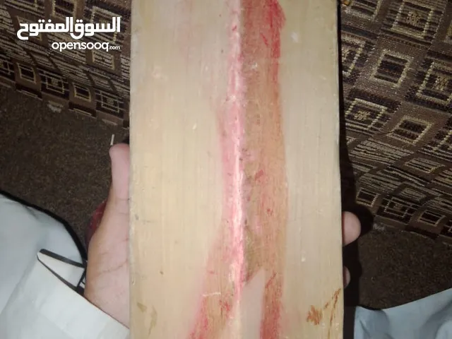 cricket hard ball bat of puma