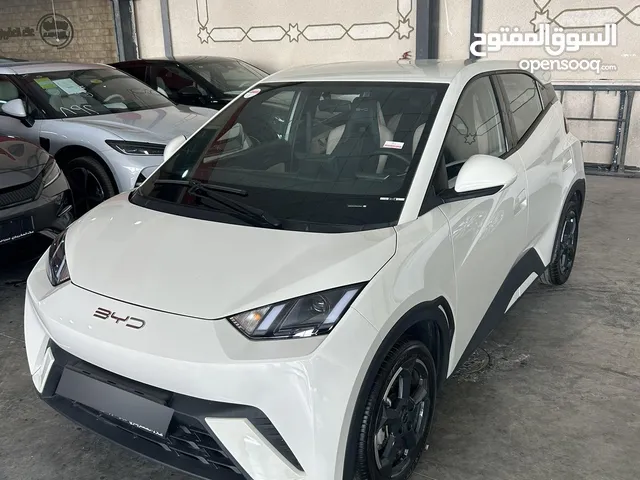 Used BYD Seagull in Irbid