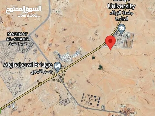 قطع اراضي بجانب جامعة الزرقاء