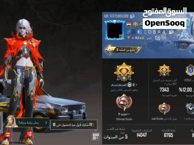 Pubg Accounts and Characters for Sale in Giza