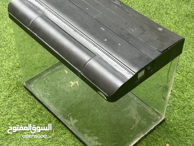 حوض سمك كبير