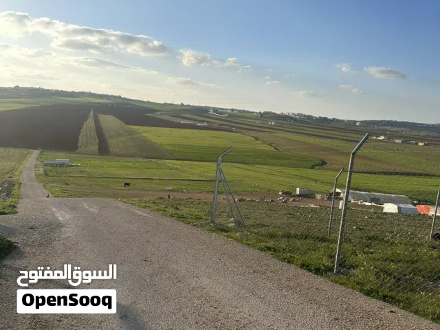 Farm Land for Sale in Madaba Mai'n