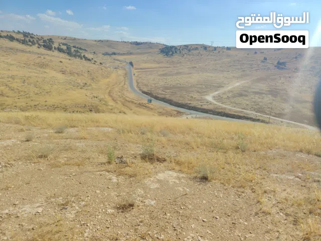 قطعة أرض سكنية بيرين قرية مرحب