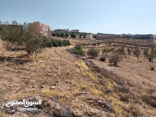 Mixed Use Land for Sale in Tafila Other