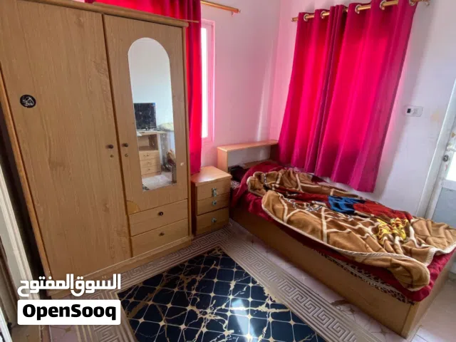 استوديوهات مفروشة نظيفة  بشارع الجامعه