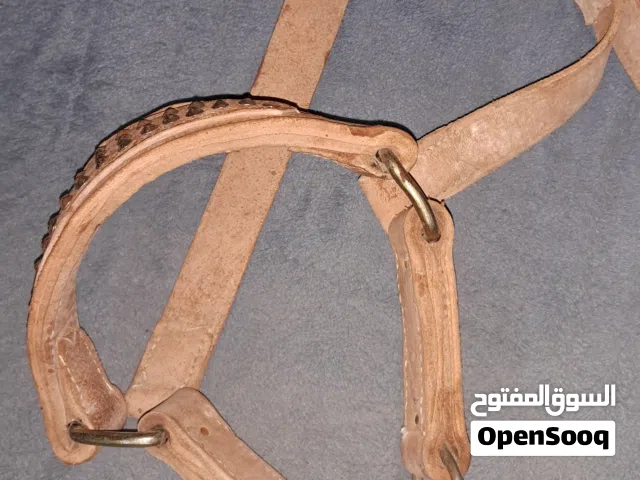 خطم جلد للابقار والثيران الخارجيه