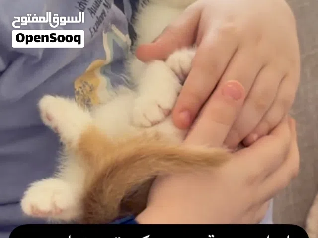احلى هدية عيد حق اولادكم