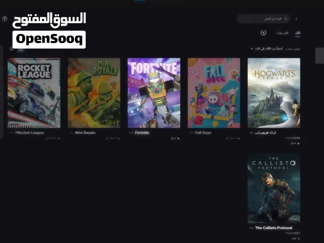 Accounts - Others Accounts and Characters for Sale in Al Dhahirah