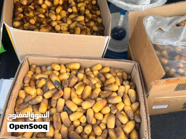 البيع رطب نغال يتوفر  كليوم طازج
