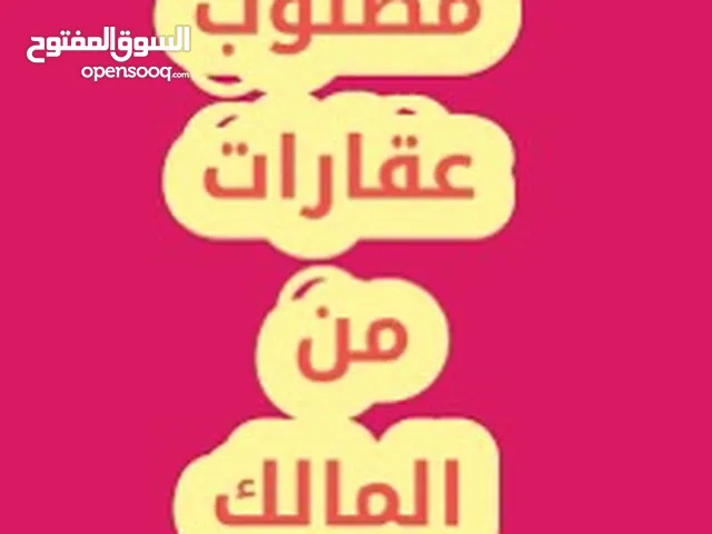 مطلوب شقة للأيجار من المالك