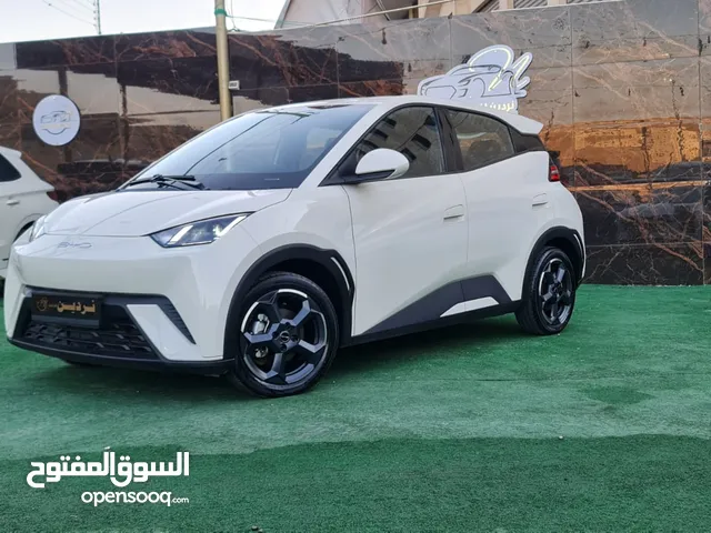 BYD SEAGULL 2023 جمرك جديد بحالة الزيرو