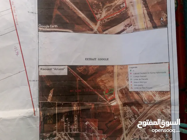 أرض سكنية للبيع