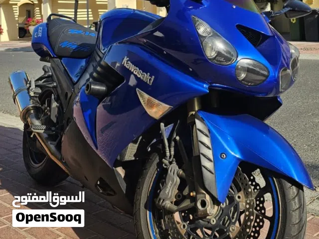 Kawasaki zzr 1400 (first generation)