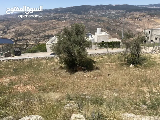 للبيع قطعة أرض بإطلالة مميزة على سد الملك طلال