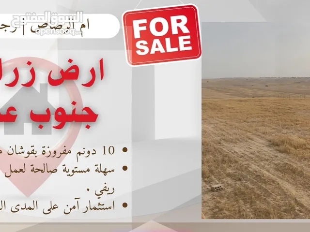 Farm Land for Sale in Amman Umm Al-Rasas
