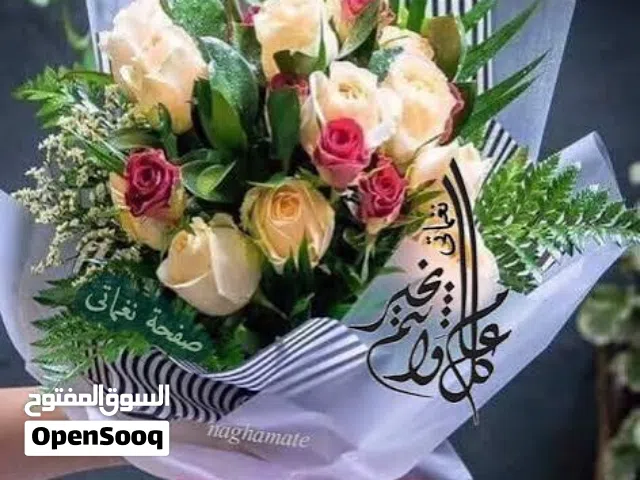 أرض مميزه لقطه 875 متر في منجا بعد فلل الأندلسية على شارع معبد
