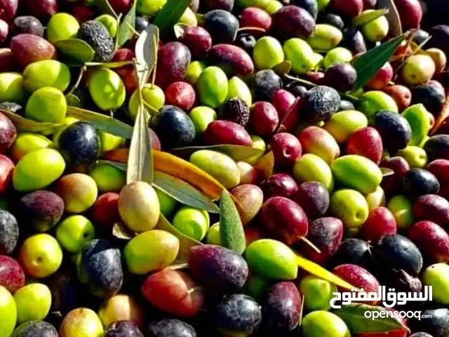 زيت زيتون جبال الريف جودة بدون مجاملة للمنتوج