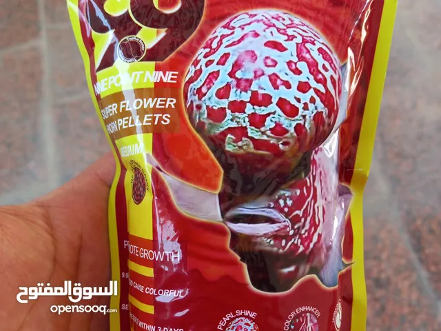 طعام اسماك مجاناً