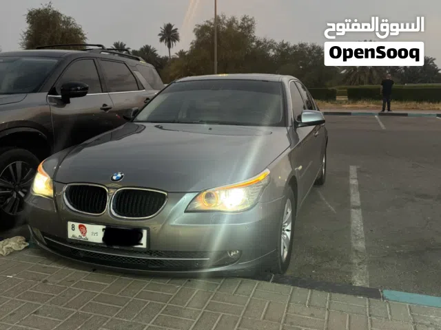 2010 BMW 5 Series 520
