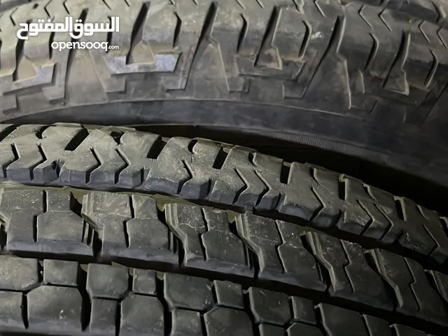 Goodyear 18 Tyre & Wheel Cover in Hail
