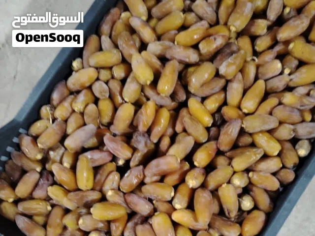 دقله اولى مصروبه