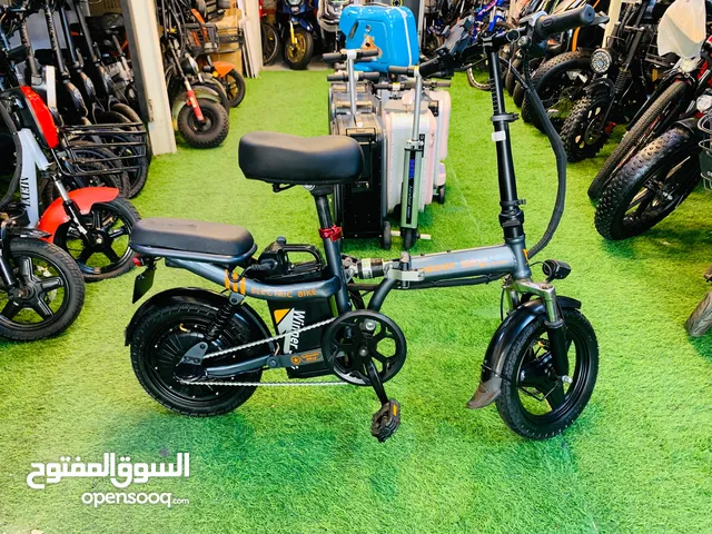 Foldable Electric Bike 2 seater