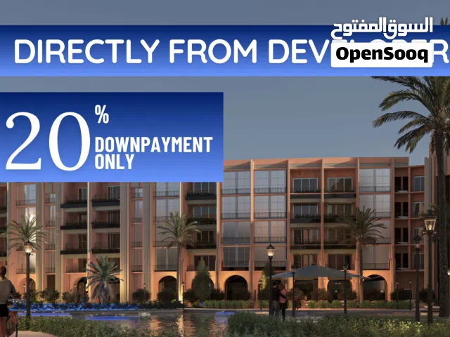 Directly From the Developer