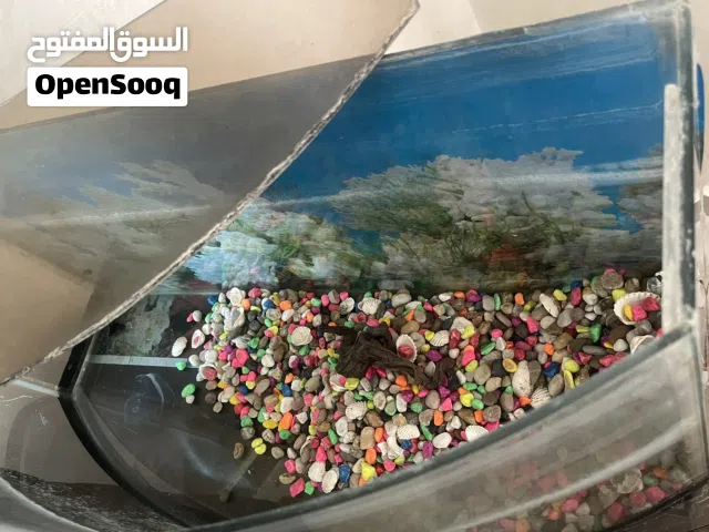 حوض سمك حجم كبير مع القاعدة