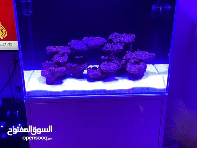 حوض بحريي أجنبي  مع معداته كامله ومواده من ألمانيا من شركه فاونا مارين بالاضافه إلى ملح فاونا ماربن