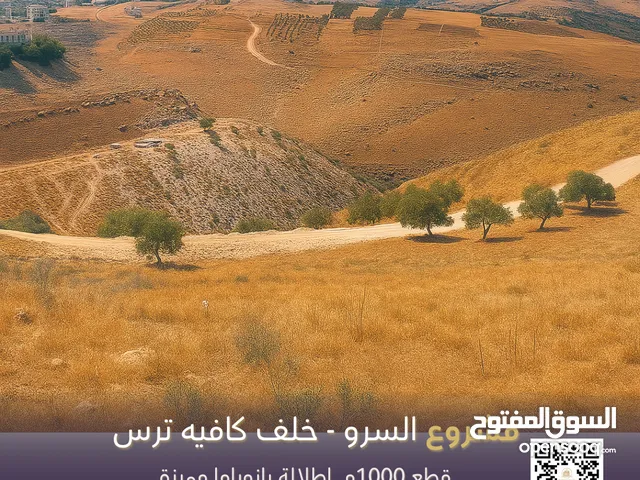مشروع السرو المميز , خلف كافيه ترس – قطع 1000م بقوشان مستقل - فرصة استثنائية للاستثمار والسكن