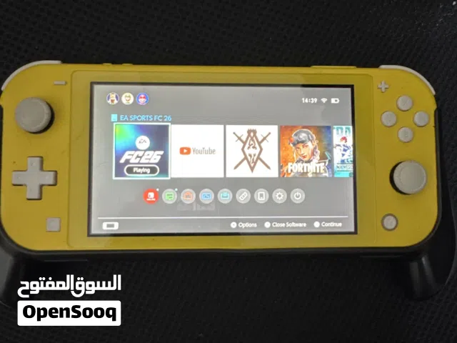 Nintendo switch lite
