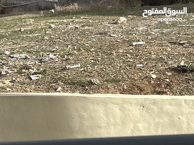 ارض للبيع الموقع القدس بيت حنينا حالة الارض خضرا