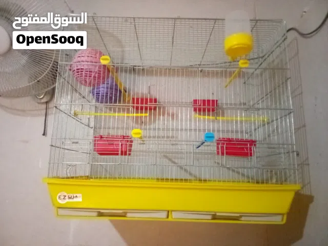 مطير عصافير