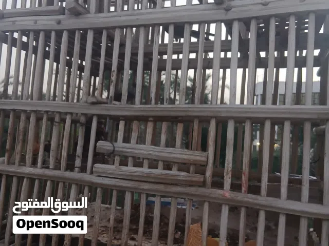 سلام عليكم  بلابل صيد ثنين ابو الخصيب