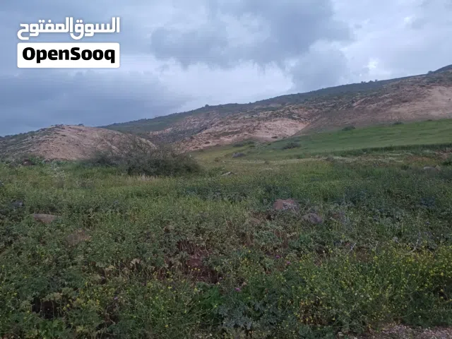 Farm Land for Sale in Irbid North Shuna